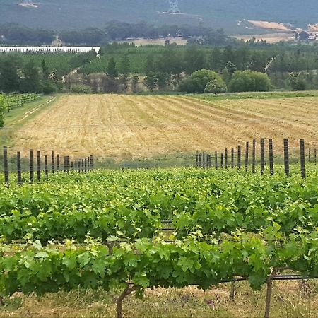 툴바흐 Lemberg Wine Estate 빌라 외부 사진