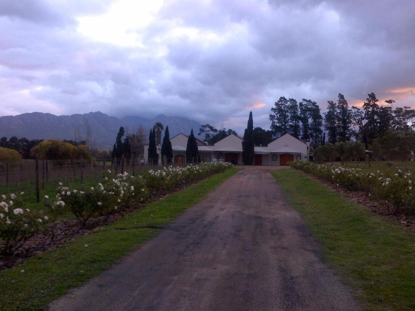툴바흐 Lemberg Wine Estate 빌라 외부 사진